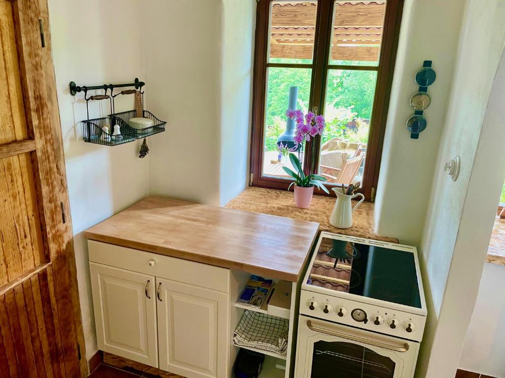 Kuchnia lub aneks kuchenny w obiekcie Apartmány pod Kozákem