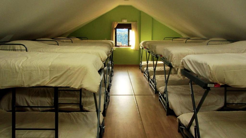 - une rangée de lits superposés dans une chambre verte dans l'établissement Albergue rural l'Almada de Yebra, à Yebra de Basa