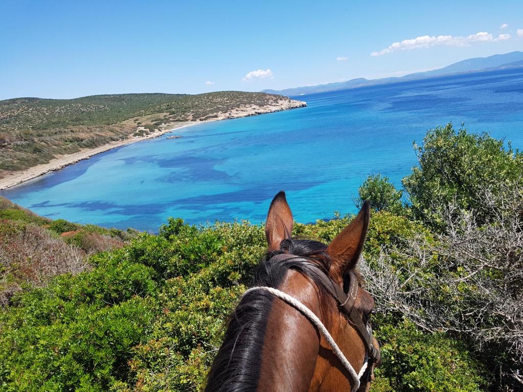 Táj Show holiday homes közelében