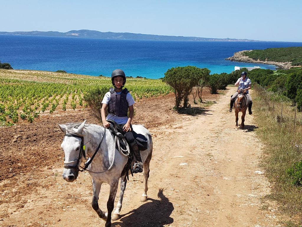 Horseback riding at the holiday home or nearby