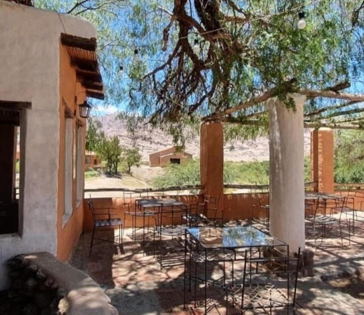 a patio with tables and chairs under a tree at Finca El Carmen Cabañas in Angastaco