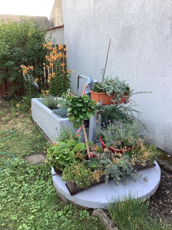Vonkajšia záhrada v ubytovaní Ferienwohnung Casa Flora