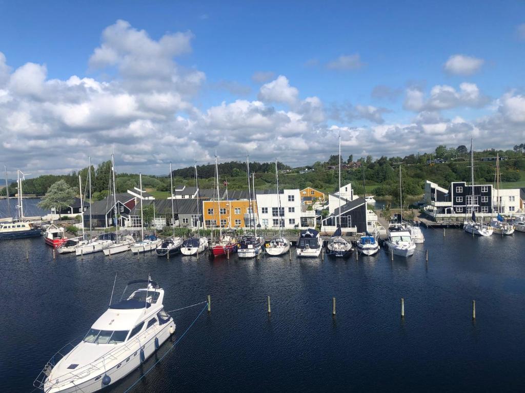 a bunch of boats are docked in a harbor at Hyggelig sommerhus Øer Maritime ferieby Ebeltoft in Ebeltoft