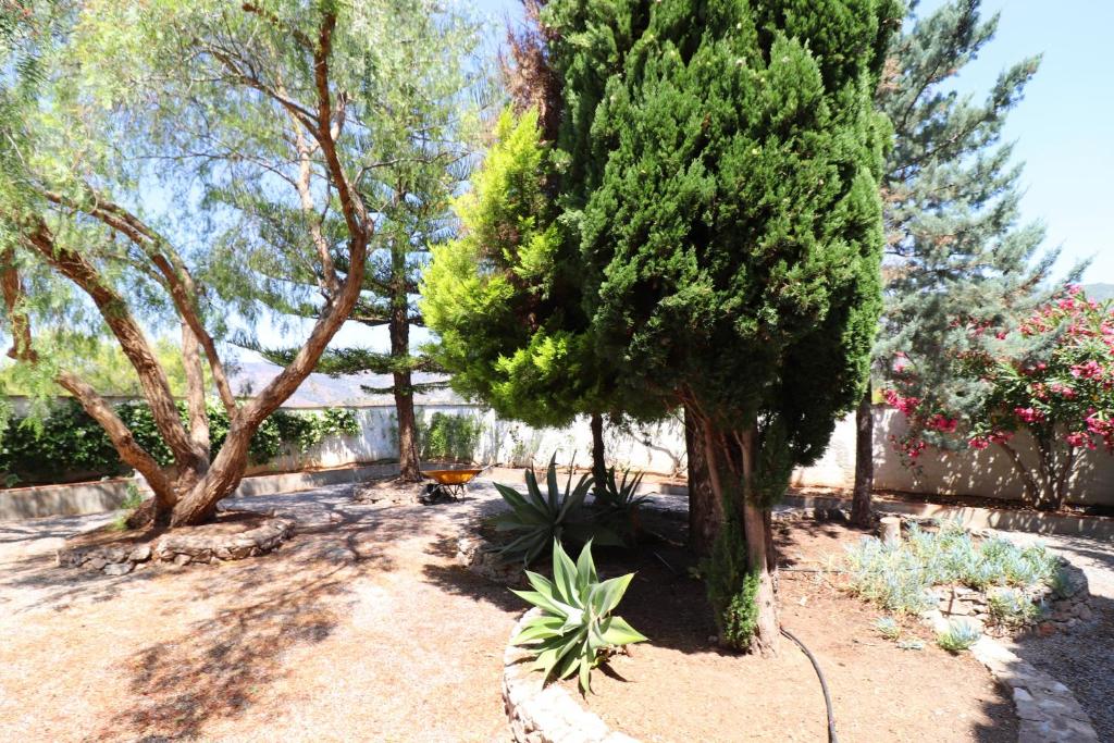 Zahrada ubytování Apartment Zafiro Meneguina by SpainSunRentals 1120