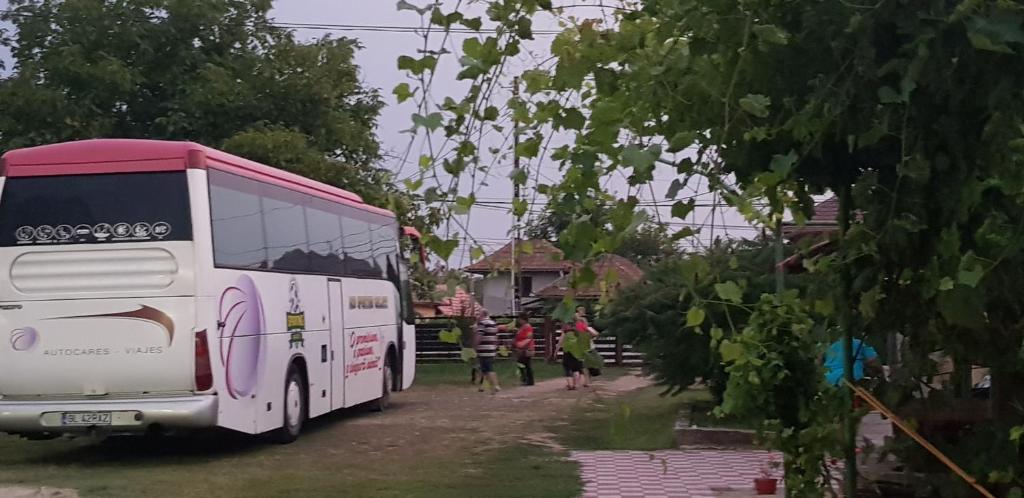 Zahrada ubytování Pensiunea Magnolia din Tismana