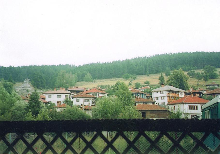 Příroda nedaleko penzionu
