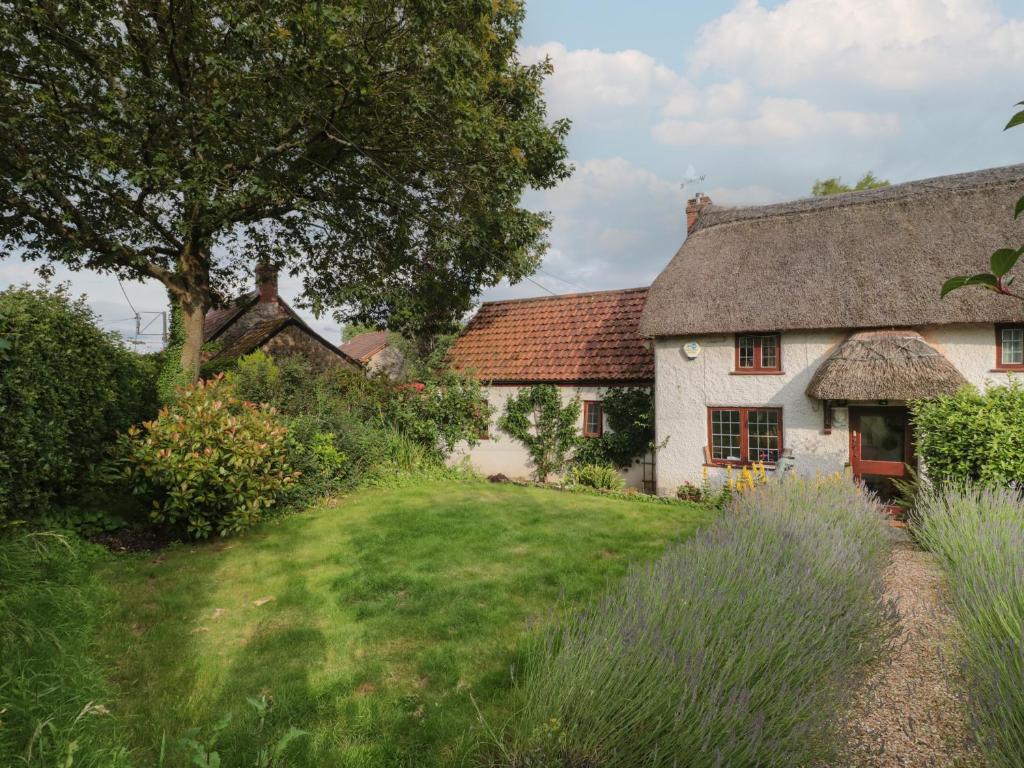 Дорсет Англия River Cottage