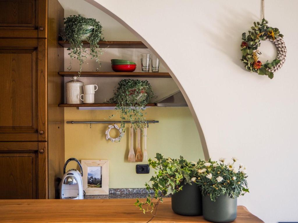 un arco en una cocina con plantas en estanterías en Appartamento nel cuore dell'Appennino Tosco-Emiliano, en San Benedetto Val di Sambro