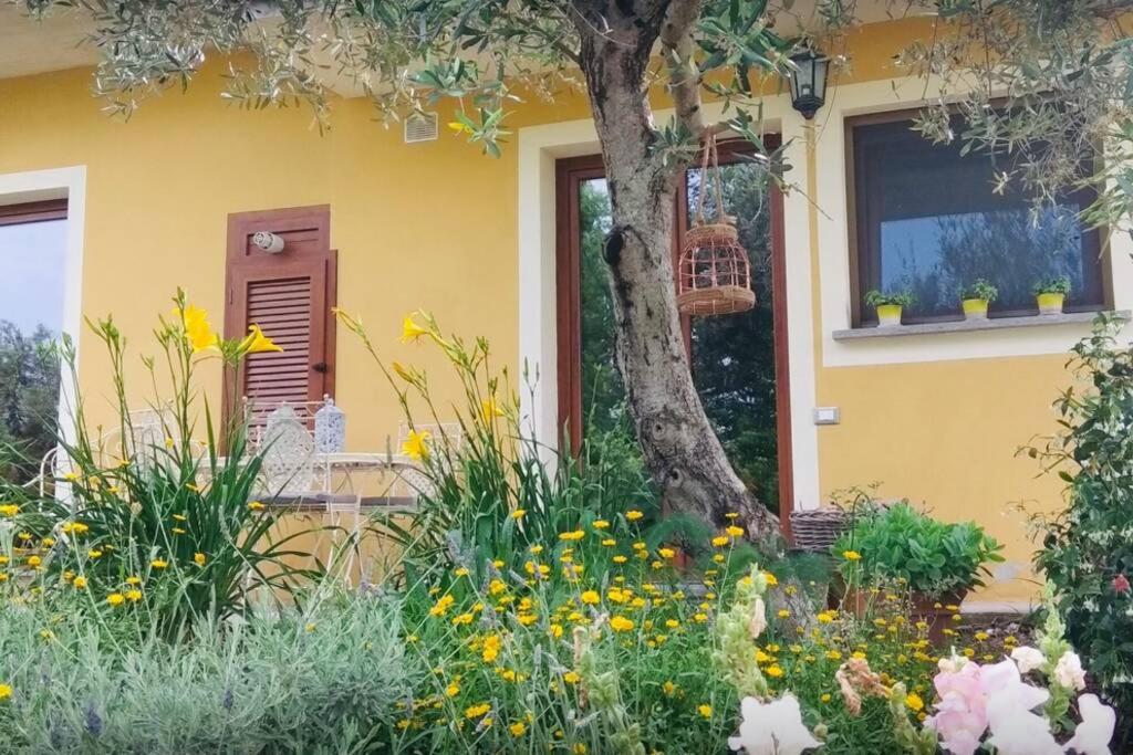 żółty dom z kwiatami przed nim w obiekcie Rome Retreat w mieście Morlupo