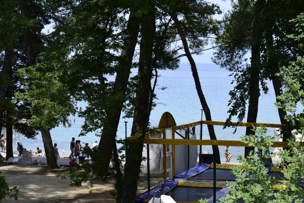Příroda nedaleko apartmánu