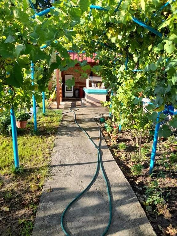 a hose on a sidewalk in a garden at Casa Anhela in Corbu