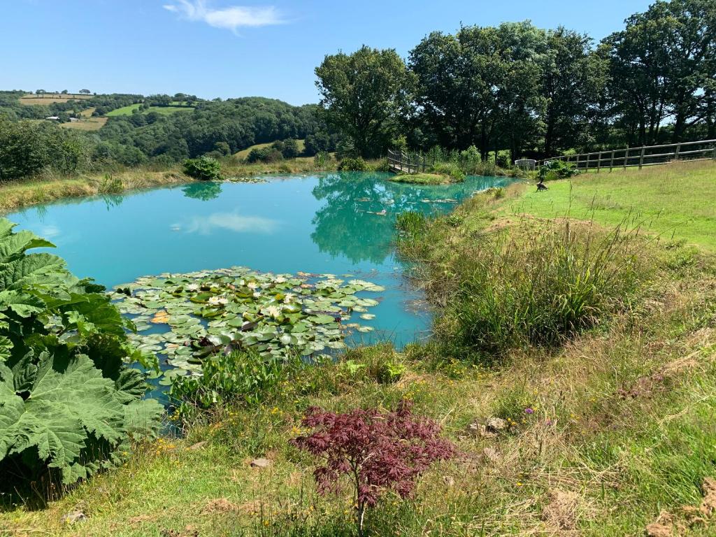Paesaggio naturale nelle vicinanze del bed & breakfast