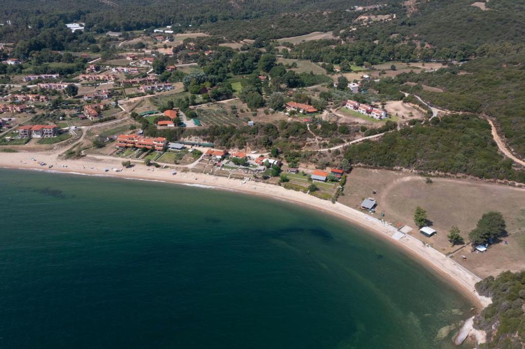 Przyroda w pobliżu tej willi
