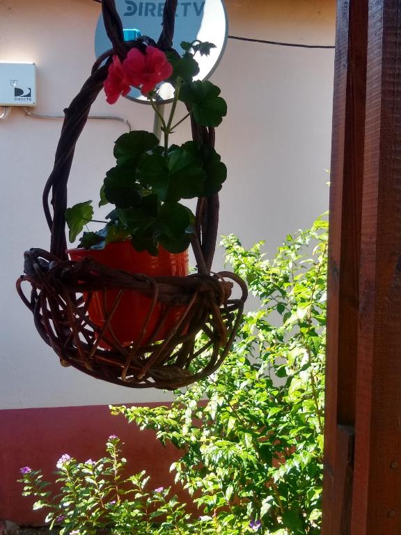 Zahrada ubytování IGUAZU CABANAS