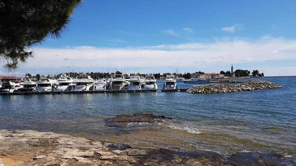 Apartments Mirella - 15