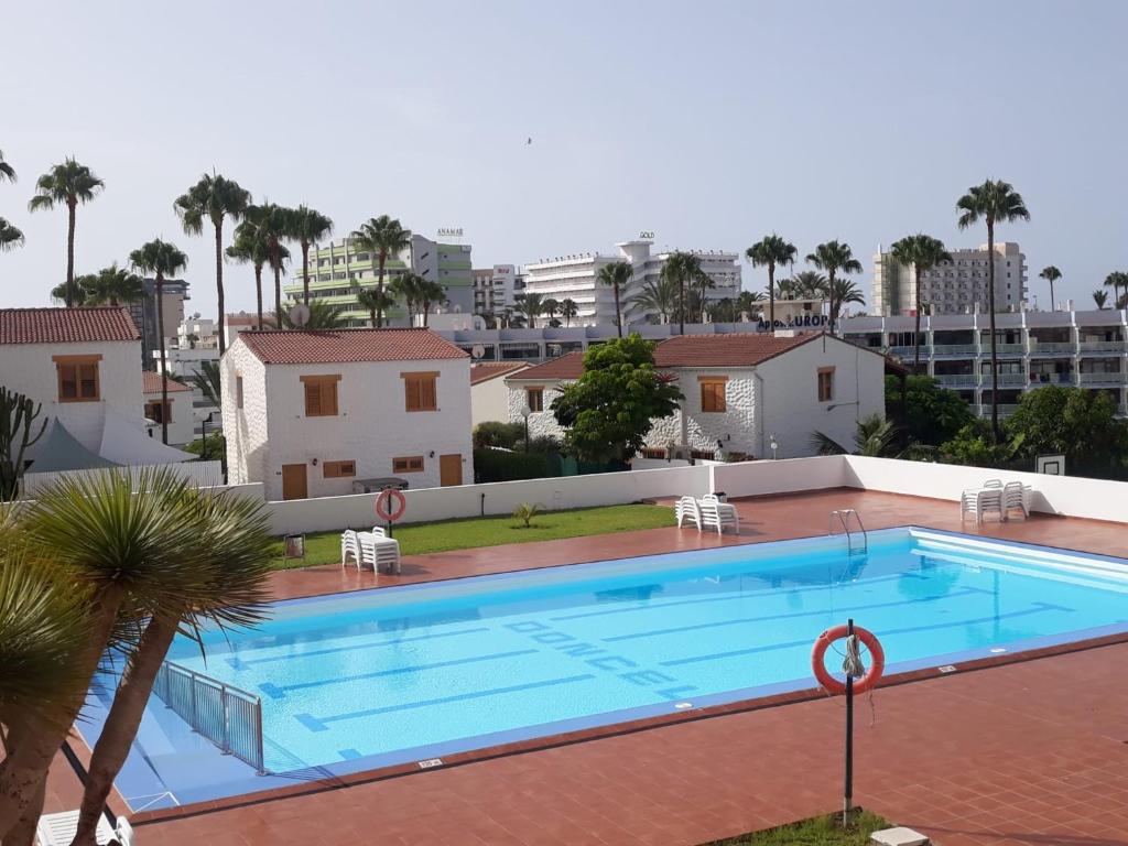 普拉亞戴爾雷安格萊斯的住宿－Yumbo - Apartment，一座棕榈树和建筑的大型游泳池