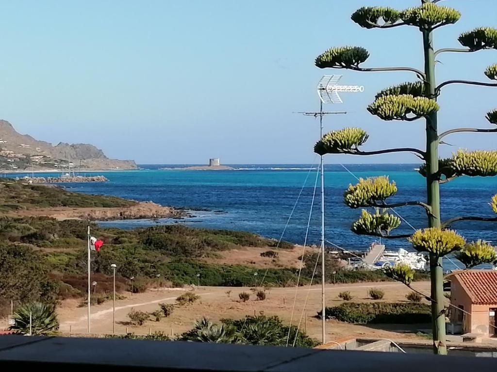 uma vista para o oceano e uma árvore em La Finestra sulla Torre em Stintino