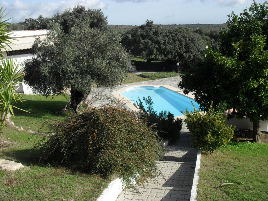 a view of a swimming pool in a garden at Casa de Campo Quinta São Jorge in Reguengos de Monsaraz