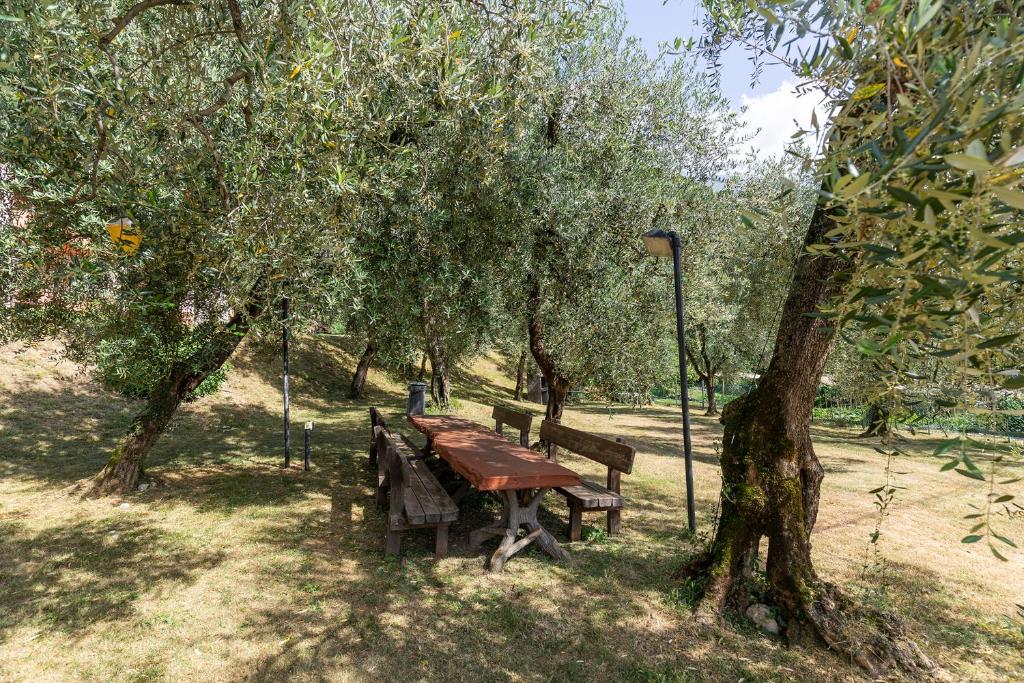 Ogród w obiekcie Apartament Kormorano