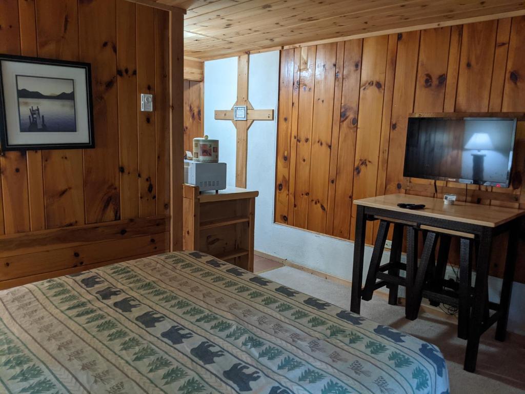 TV a/nebo společenská místnost v ubytování Adirondack Diamond Point Lodge
