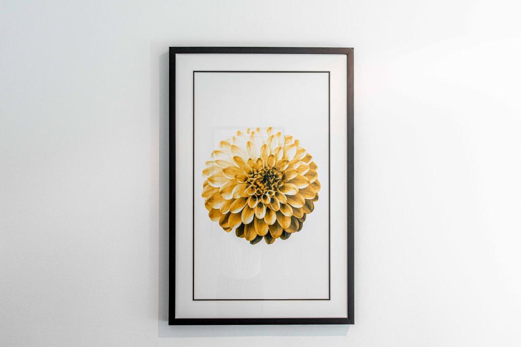 Fotografie z fotogalerie ubytování Avoca Randwick by Sydney Lodges v destinaci Sydney