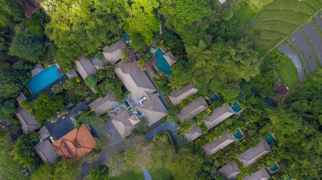 Vue de tête d'un groupe de maisons et d'arbres dans l'établissement Villa Canggu by Plataran, à Canggu