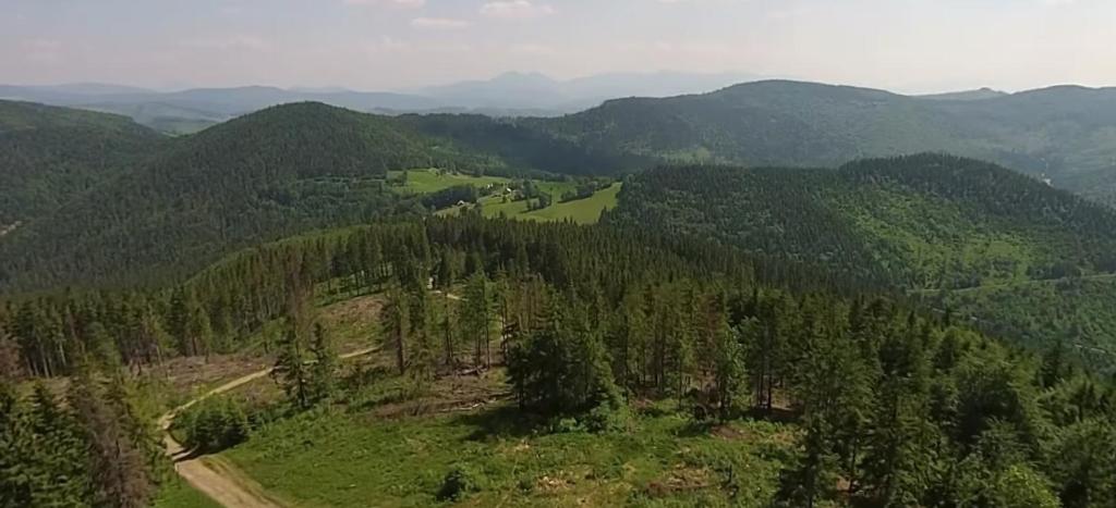 Príroda v okolí apartmánu