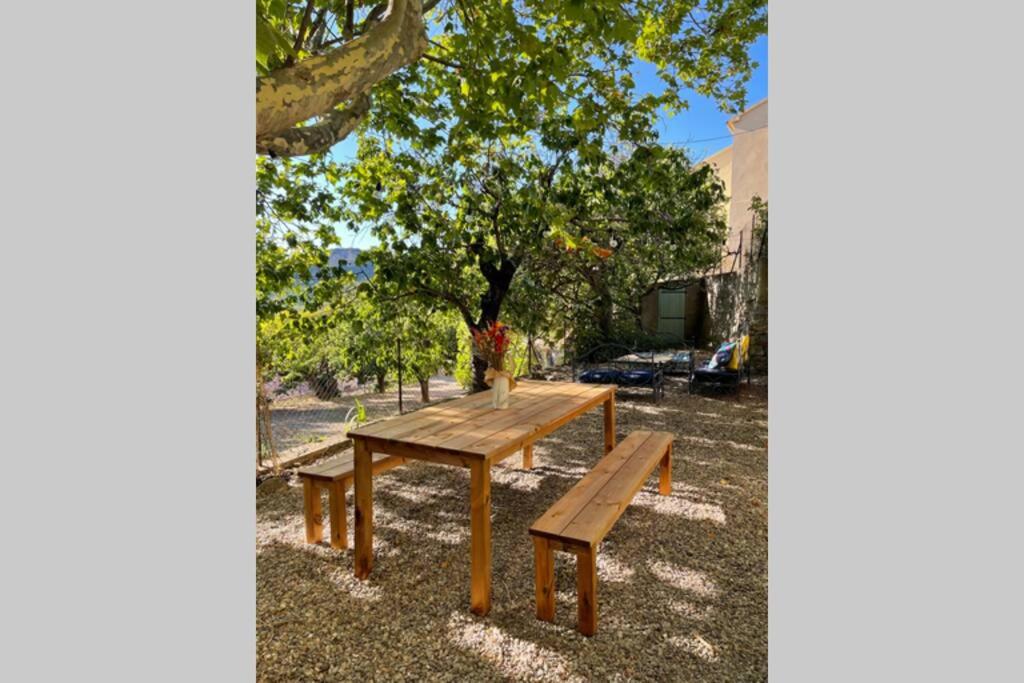 - une table de pique-nique en bois dans un parc avec un arbre dans l'établissement Charmant logement avec jardin sur la vallée de Patrimonio, à Patrimonio