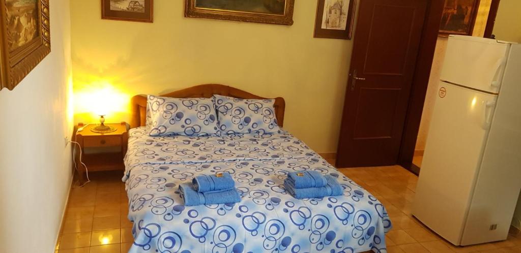 多布拉沃達的住宿－Apartman Veliki Pijesak，一间卧室配有一张带2条蓝色毛巾的床