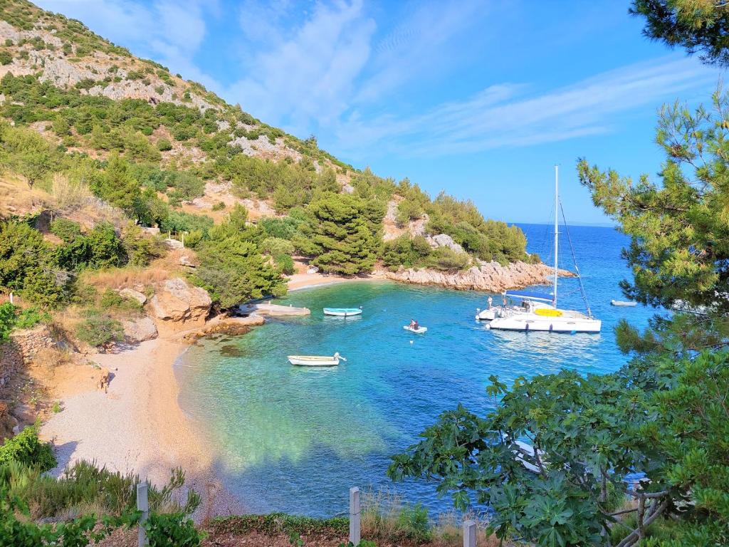 ein kleiner Strand mit Booten im Wasser in der Unterkunft Vala Hrvaska Robinson in Gornji Humac