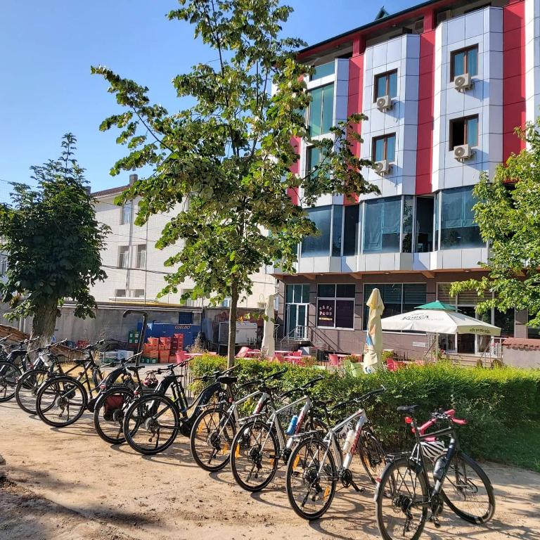 Jízda na kole v ubytování Hotel Piazza nebo okolí