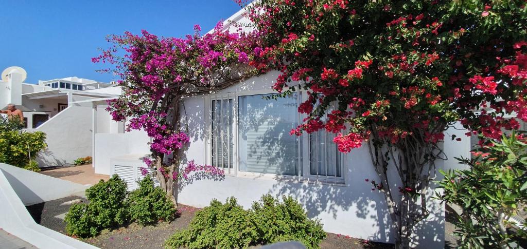 uma casa branca com flores ao lado dela em Casa Lento em Tías