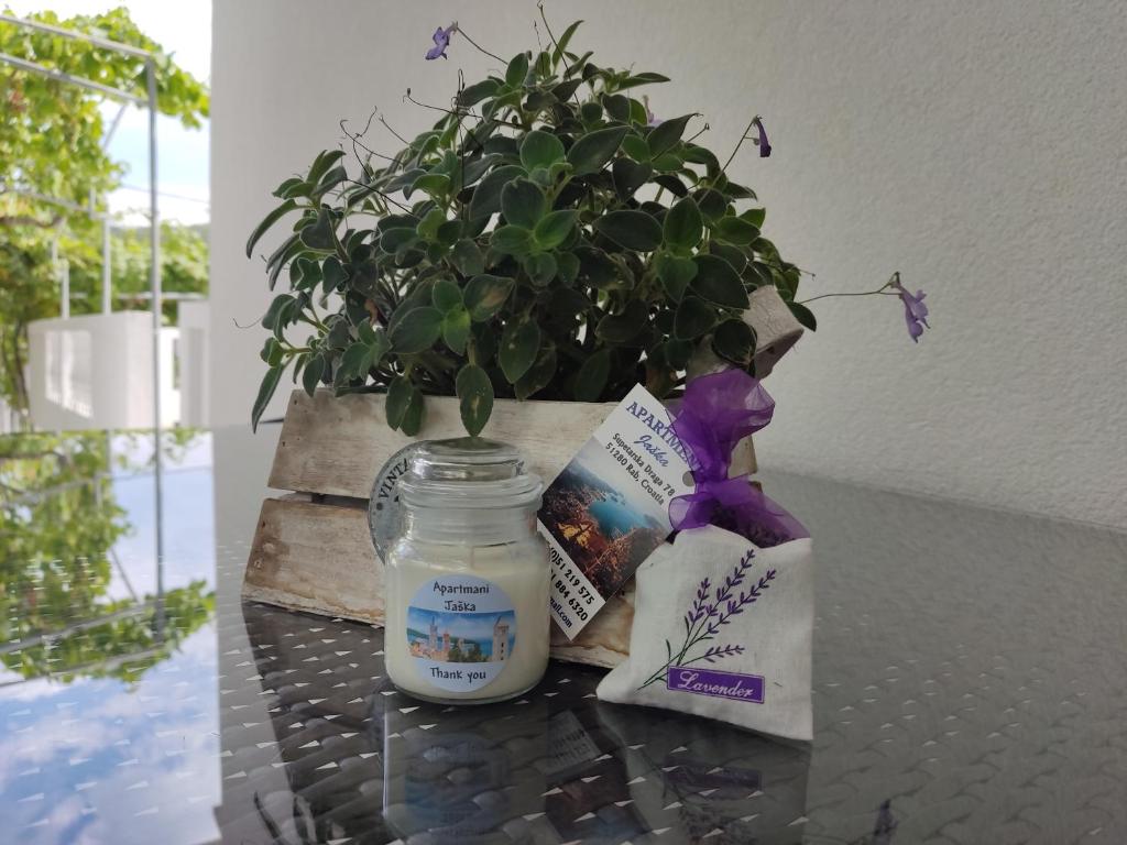 a jar of candle and a potted plant on a table at Apartment Jaška in Rab