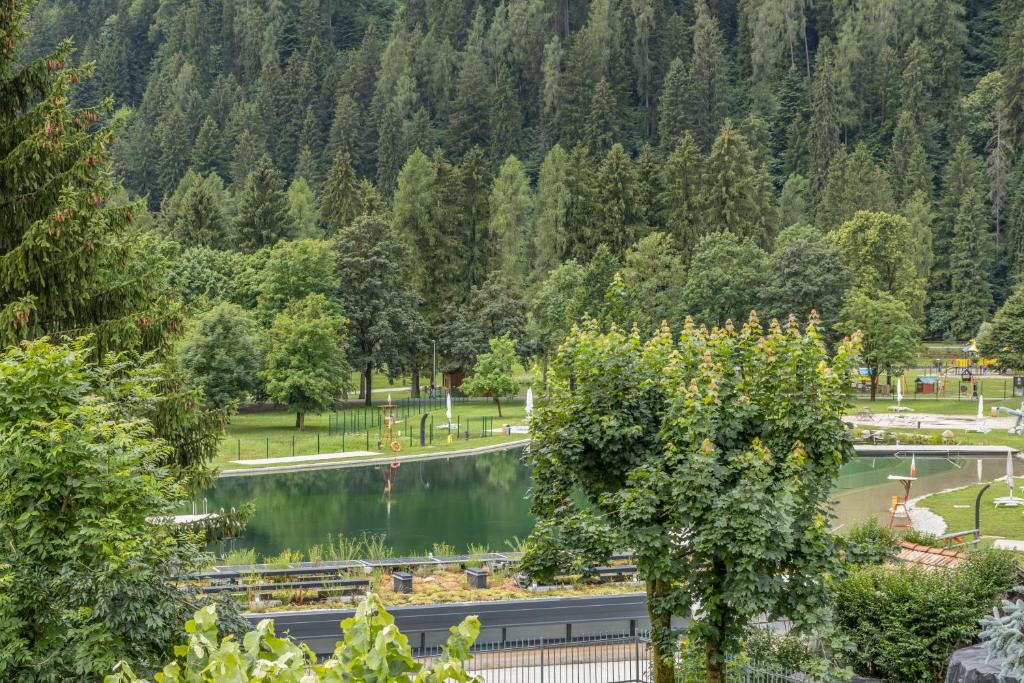 Príroda v okolí apartmánu