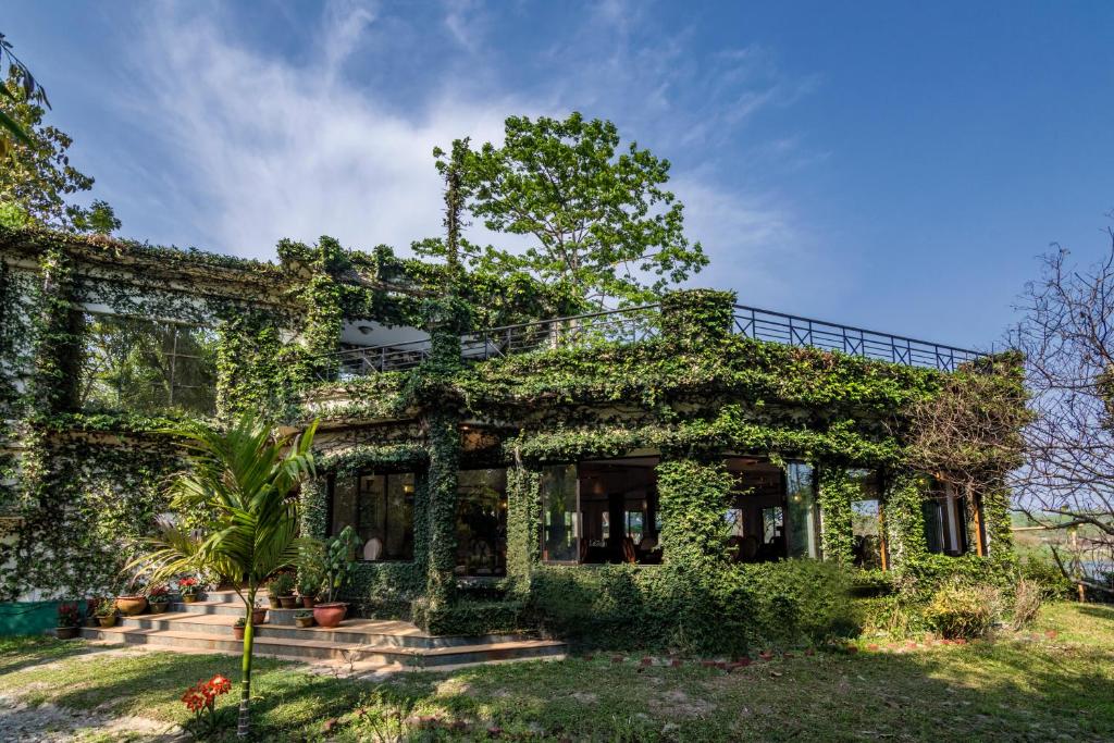 uma casa velha coberta de hera em The Riverwood Forest Retreat Dooars - fully vaccinated staff em Neorā Nadī