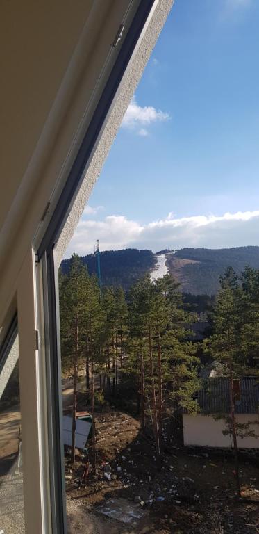 Příroda nedaleko apartmánu