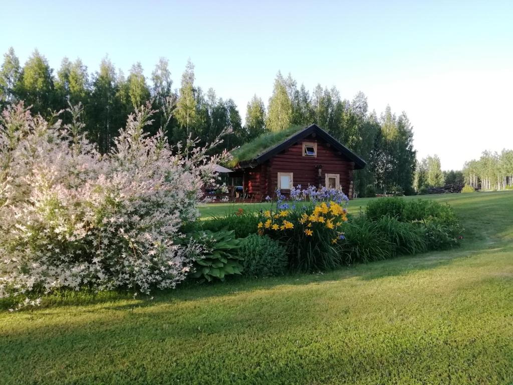 una casa con techo de hierba en un campo con flores en Päikseranna Holiday Centre, en Nedsaja