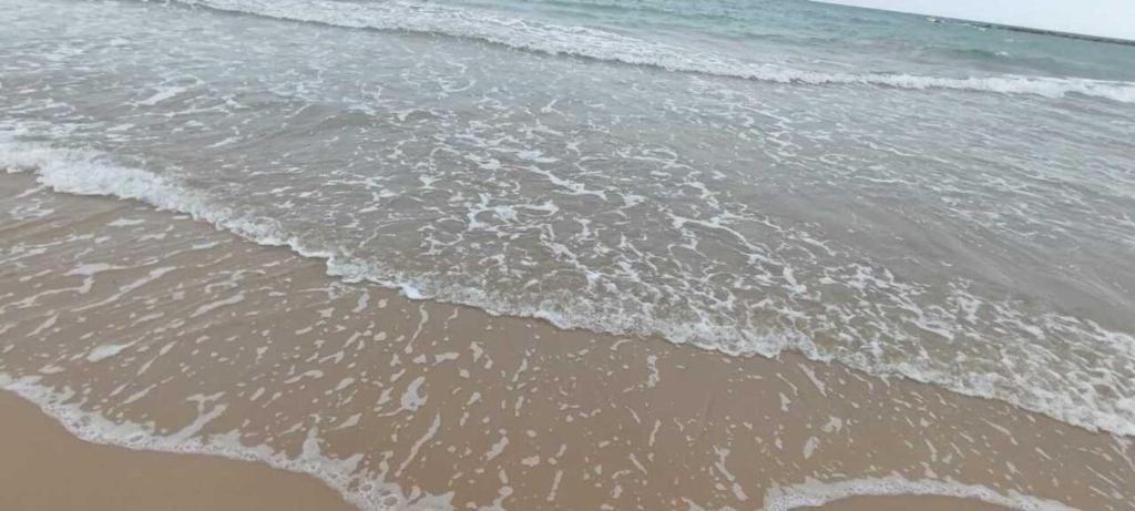 Fotografia z galérie ubytovania Apartamento en primera línea de mar con piscina v destinácii Cubelles