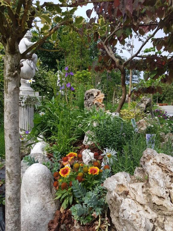 Zahrada ubytování Nel giardino di Dafne