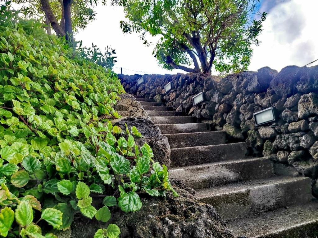 um conjunto de escadas de pedra ao lado de uma parede de pedra em Casas do Tareco em Biscoitos