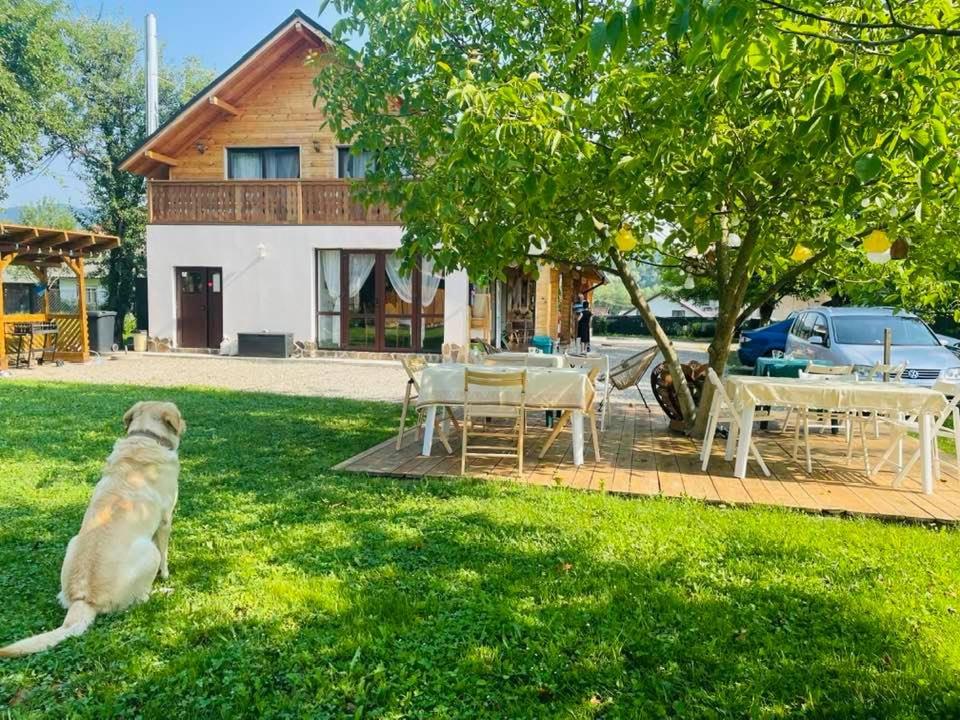 Zahrada ubytování Gradina Lu' Ion "A Home Away From Home"
