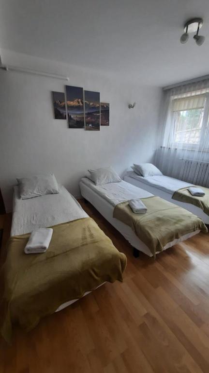 Łóżko lub łóżka w pokoju w obiekcie Willa pod Antałówką