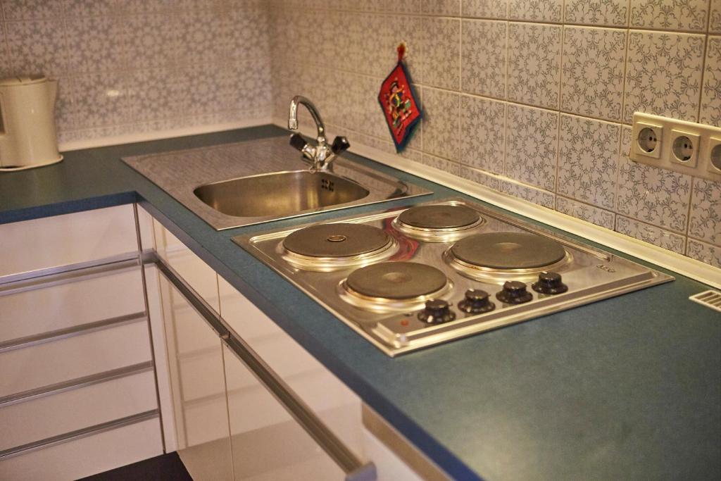 Kuchyň nebo kuchyňský kout v ubytování Appartement Homely