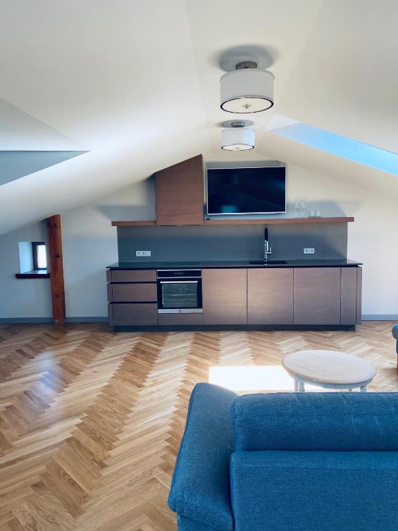 利耶帕亞的住宿－Roze Republikas Apartments，客厅配有蓝色的沙发和电视
