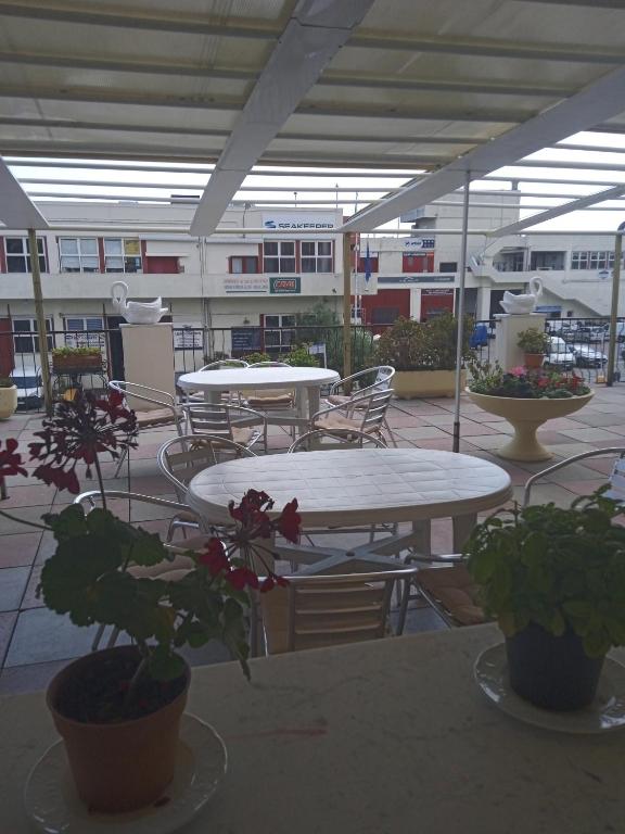 Restaurace v ubytování Albergo Stella Di Mare