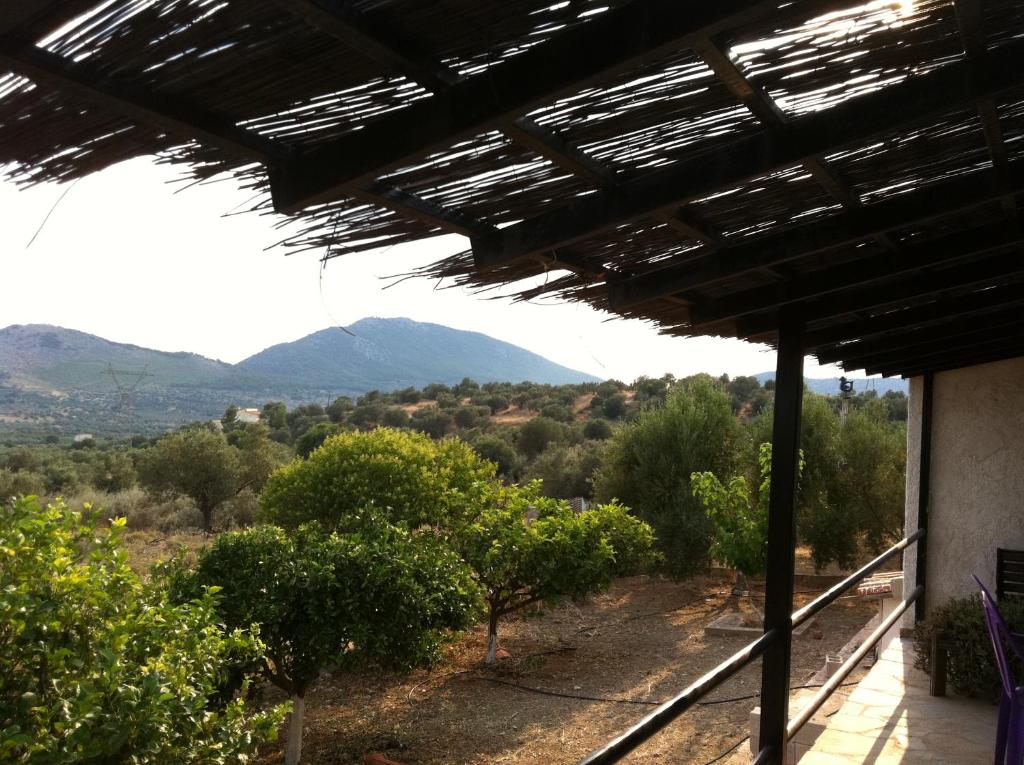 Fotografia z galérie ubytovania Cosy Calm Cottage in olive trees with sea view v destinácii Ermioni