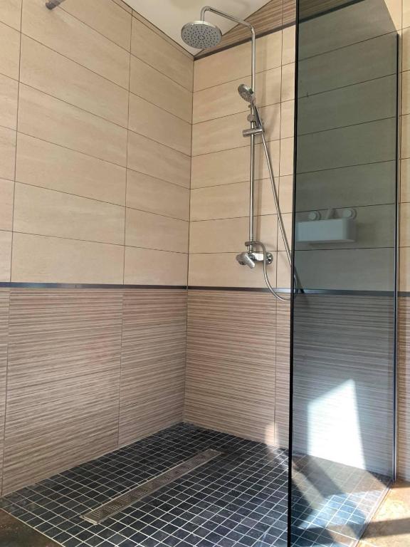 a shower with a glass door in a bathroom at Le Moulin de la Planquette in Cavron-Saint-Martin