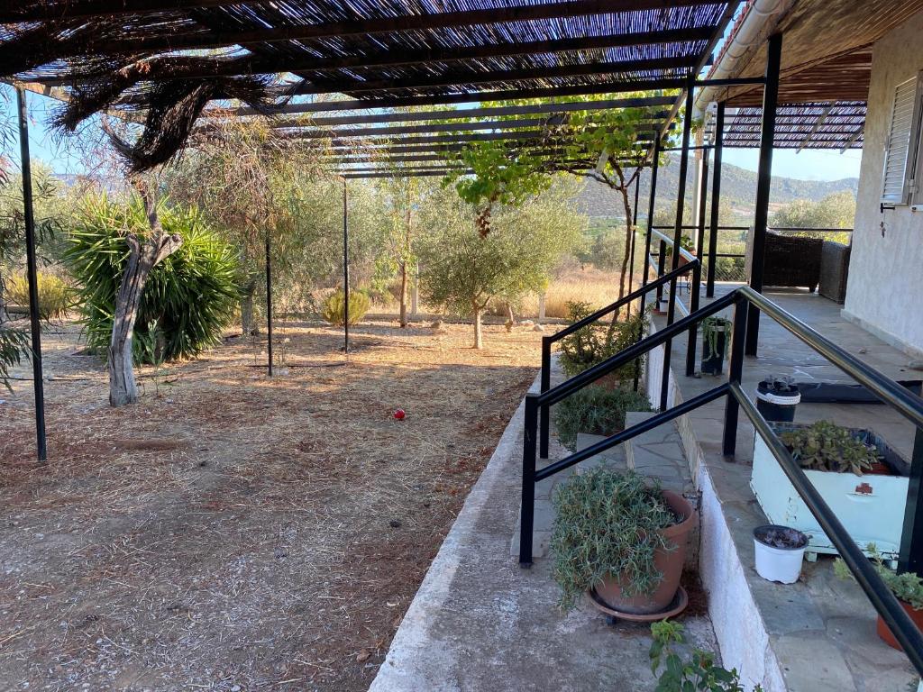 Fotografia z galérie ubytovania Cosy Calm Cottage in olive trees with sea view v destinácii Ermioni
