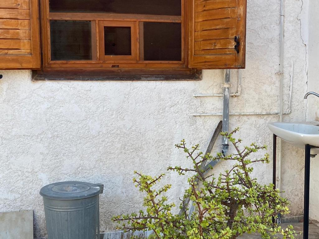 Fotografia z galérie ubytovania Cosy Calm Cottage in olive trees with sea view v destinácii Ermioni