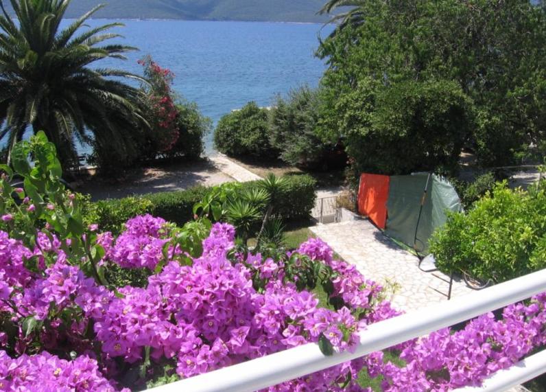 een tuin met paarse bloemen en uitzicht op de oceaan bij Grego apartments in Viganj